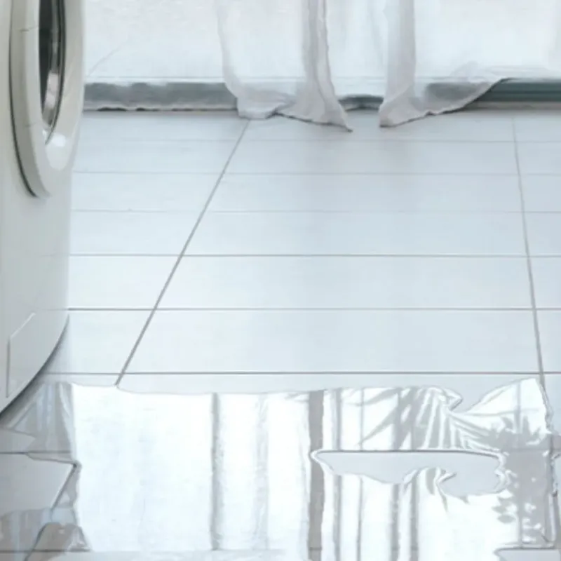Appliance Leak Cleanup in Chetopa, KS
