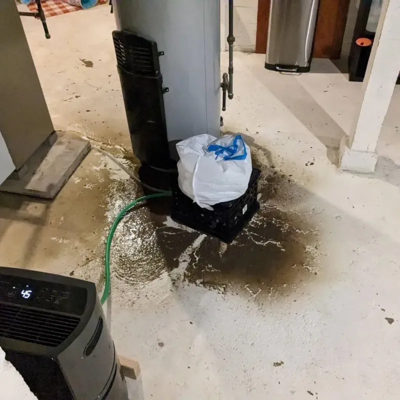 Sewage Backup Cleanup Service in Chetopa, KS